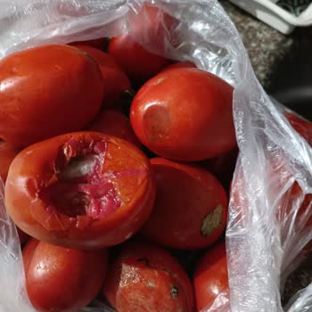 A101 Kapıda Çürük Sebze Ve Meyve Teslimatı