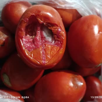 A101 Kapıda Çürük Sebze Ve Meyve Teslimatı