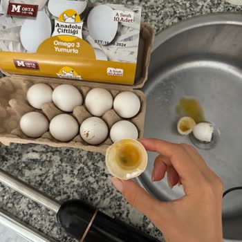 Şok Marketler Bozuk Yumurta Ve Çöpe Giden Malzemelerim