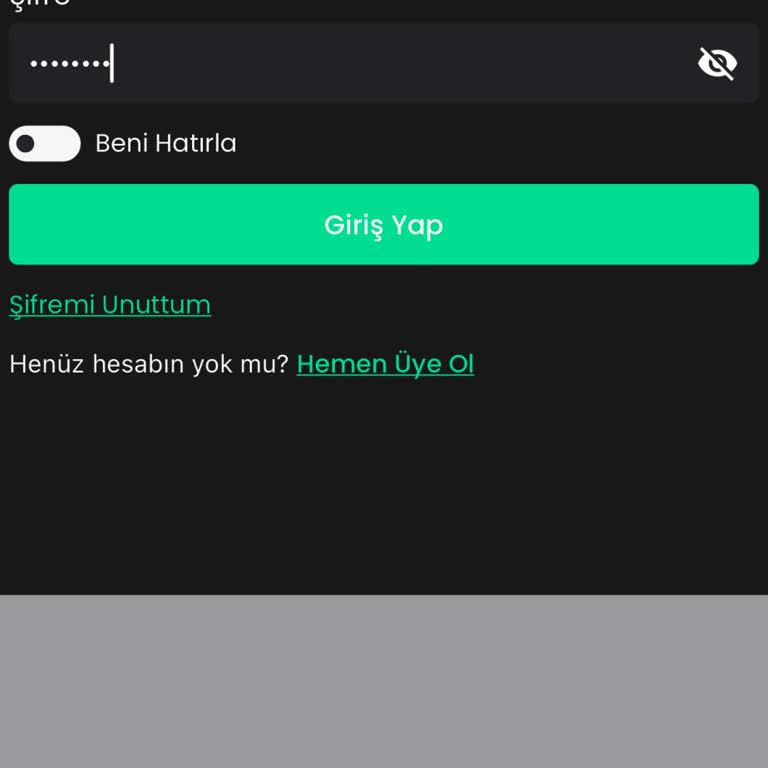 Bitay'ın Hesap Güvensizliği