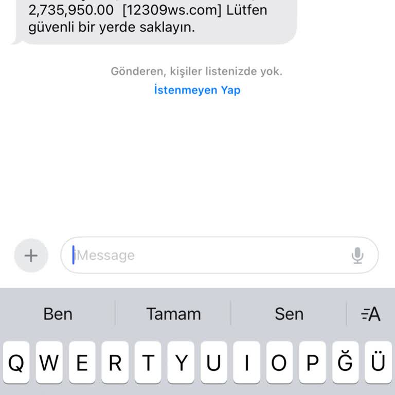 Meta Finansal Hesap Eklendi Mesajı