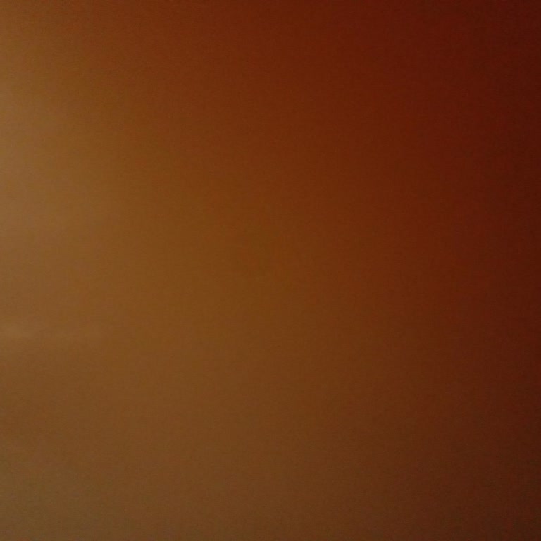 Paribu Telefon Numaranı Güncelleyemiyorum