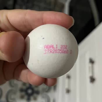 Abalıoğlu Grup Rengi Ve Kokusu Bozuk Yumurta