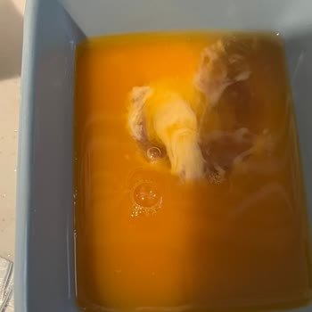 Abalıoğlu Grup Rengi Ve Kokusu Bozuk Yumurta