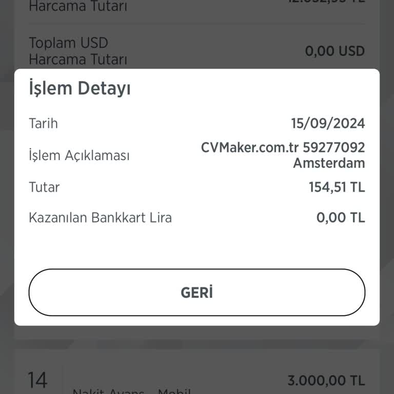 Cvmaker.com.tr E-posta Giriş Sorunu Ve Şifre Yenileme Problemi
