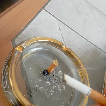 Winston Red Boş Paket