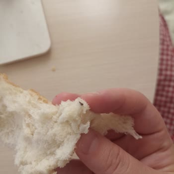 Worldmar Ekmekten Hijyen Yok