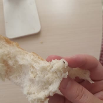 Worldmar Ekmekten Hijyen Yok