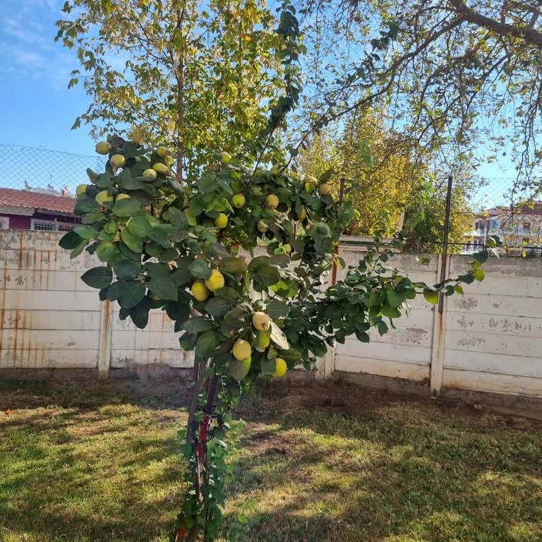 TCDD Çalışanlarının Davranışları Hakkında...