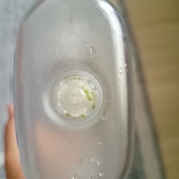 Brita Marella Sürahi Yosun Sorunu