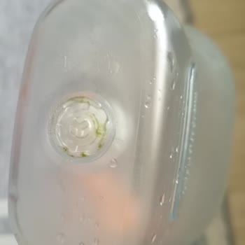 Brita Marella Sürahi Yosun Sorunu