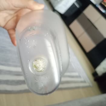 Brita Marella Sürahi Yosun Sorunu