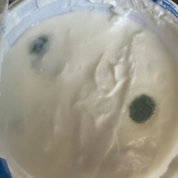 Migros Sanal Market Küflü Ürün