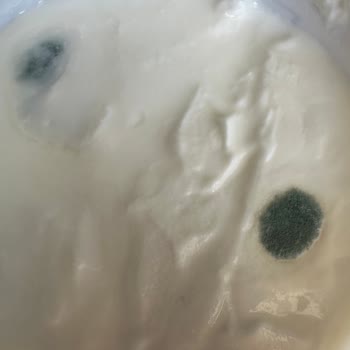 Migros Sanal Market Küflü Ürün