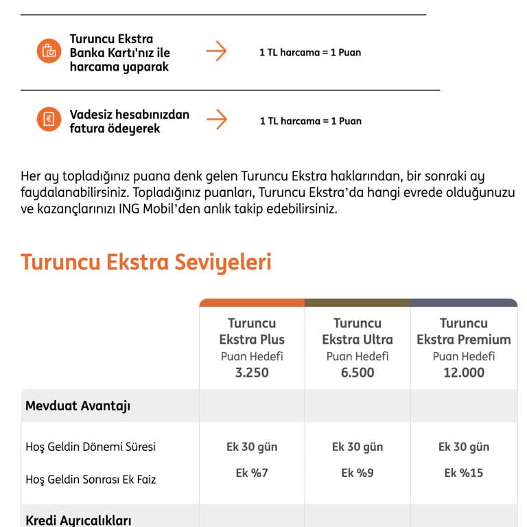ING Bank Turuncu Ekstra Programında Puan Sorunu