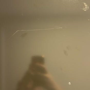 Beylikdüzü Dekart Mimarlık Ev Tadilatında Yanıltıldım!