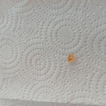 Sırma Maden Suyundan Cam Parçası Çıktı