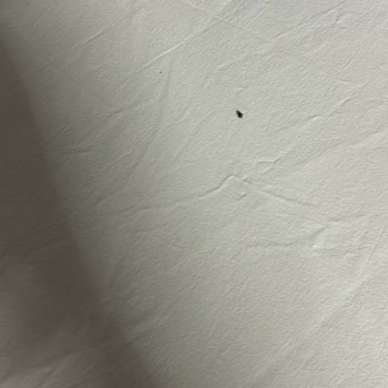 Asrın Gold Apart (Eskişehir) Asrın Gold Pişmanlıktır