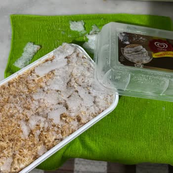 Migros'tan Alınan Dondurma Buzlu Geldi
