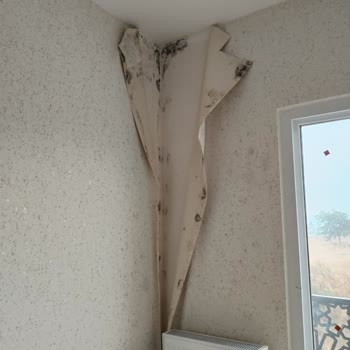 Bakyapı Panora Evlerinde Eksiklik Ve İlgisizlik