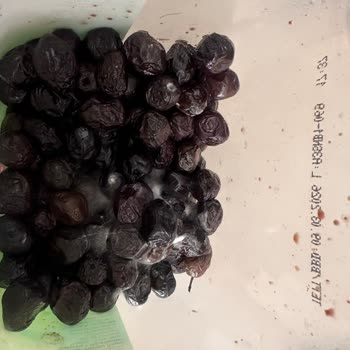 A101 Tukaş Marka Siyah Zeytinlerin Küflü Çıkma Sorunu