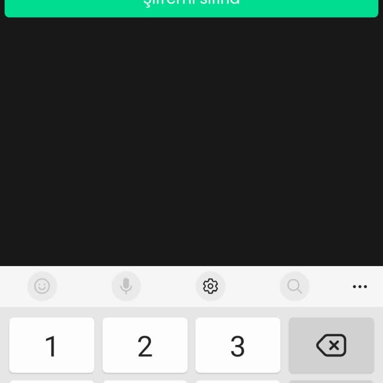 Bitay Hesabına Erişim Ve Shiba Bakiyesi Sorunu