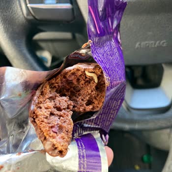 Torku Gala Kurtlu Kek