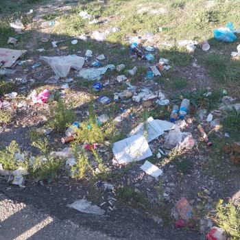 Konya Büyükşehir Belediyesi Altınapa Baraj Gölü'nün İhmali Ve Çevre Kirliliği