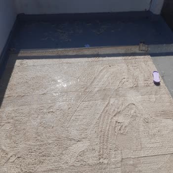 Racuun.com Lorena Canals Halılar Kedilerden Beter Tüy Döküyor