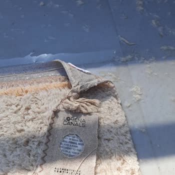 Racuun.com Lorena Canals Halılar Kedilerden Beter Tüy Döküyor