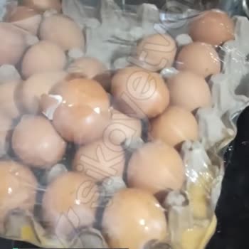 Bir Koli Yumurtanın Getirilirken Özensiz Teslimatı
