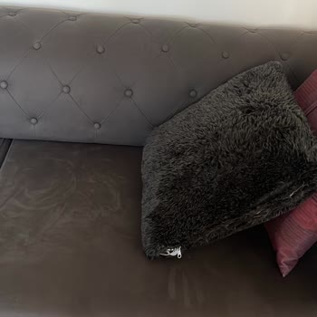 Bellona'dan Alınan Ürün 2 Yıl İçinde Soldu Ve Çöktü