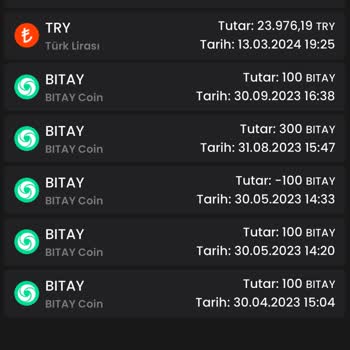 Bitay Türk Borsasında Yaşanan Hesap Sorunları Ve Müşteri Hizmetleri Problemleri