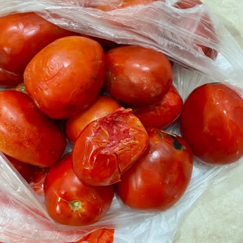 Migros Sanal Teslimatı Ve Gelen Ürünler
