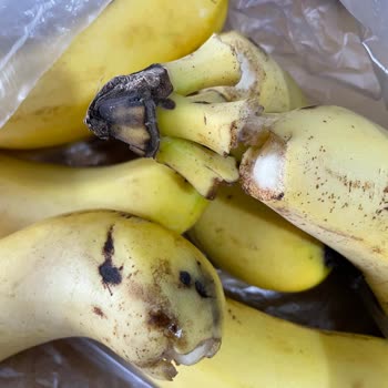 Migros Sanal Teslimatı Ve Gelen Ürünler