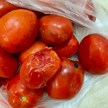 Migros Sanal Teslimatı Ve Gelen Ürünler