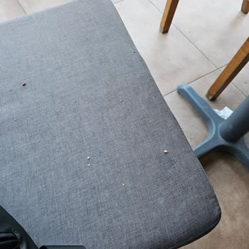 Köfteci Yusuf Pis Ve Döner Hiç Yok