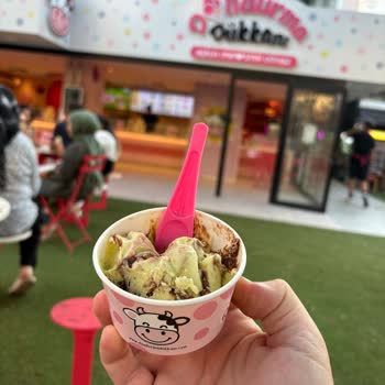 Dondurma Dükkanı Zorunlu Karton Tabak Muamelesi