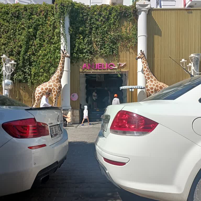 Club Hotel Anjeliq Kötü Hizmet Ve Hijyen Sorunlarıyla Dolu Bir Tatil Deneyimi