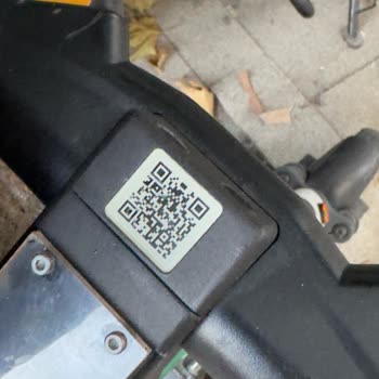 Martı Kaldırıma Bırakılan Martıların Son Sürücülerine Ceza Kesilmesi Hakkında