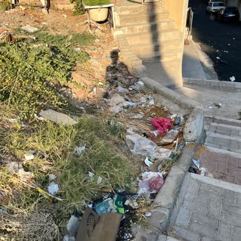 Karabağlar Belediyesi Mahallede Çöp Sorunu Ve İlgisizlik