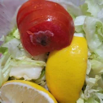 Ayhan Usta Kebap Lahmacun Salatayla Beraber Gelen Küflü Domatesler