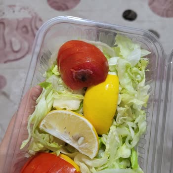 Ayhan Usta Kebap Lahmacun Salatayla Beraber Gelen Küflü Domatesler