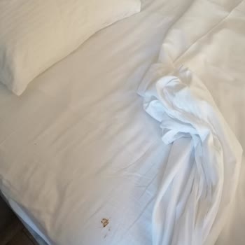 The X Belek Otel Kötü Otel Hizmet Deneyimi