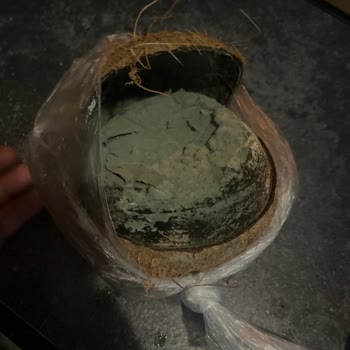 Migros'tan Alınan Meyve