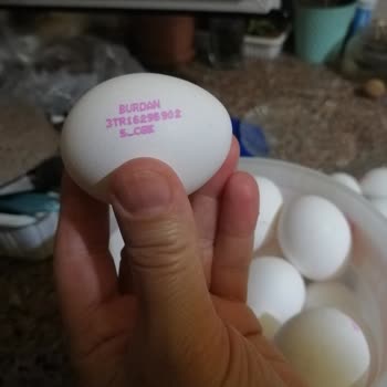 BİM'den Alınan Buradan Marka Yumurta Civcive Dönmek Üzereydi