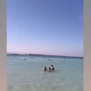 A101 Küflü, Bozuk Peynir