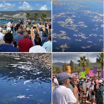 Long Beach Club Nature Bölgesel Çevre Kirliliği Ve Halkın Tepkileri