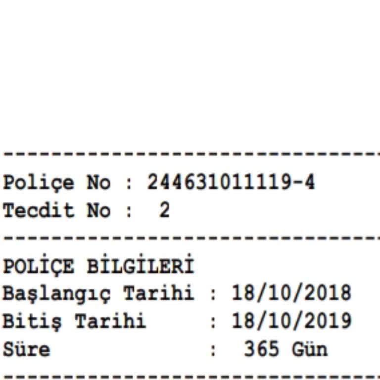 Ford Boya Vernik Dökülmesi