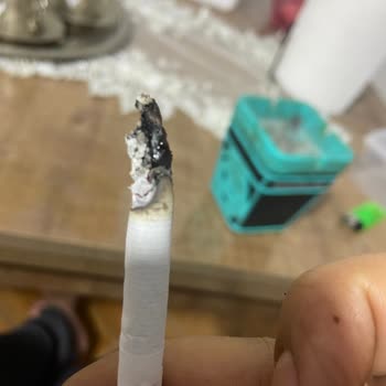 Kısa Parliament Te Çıkan Siyah Plastik Ve Sarı Lekeler